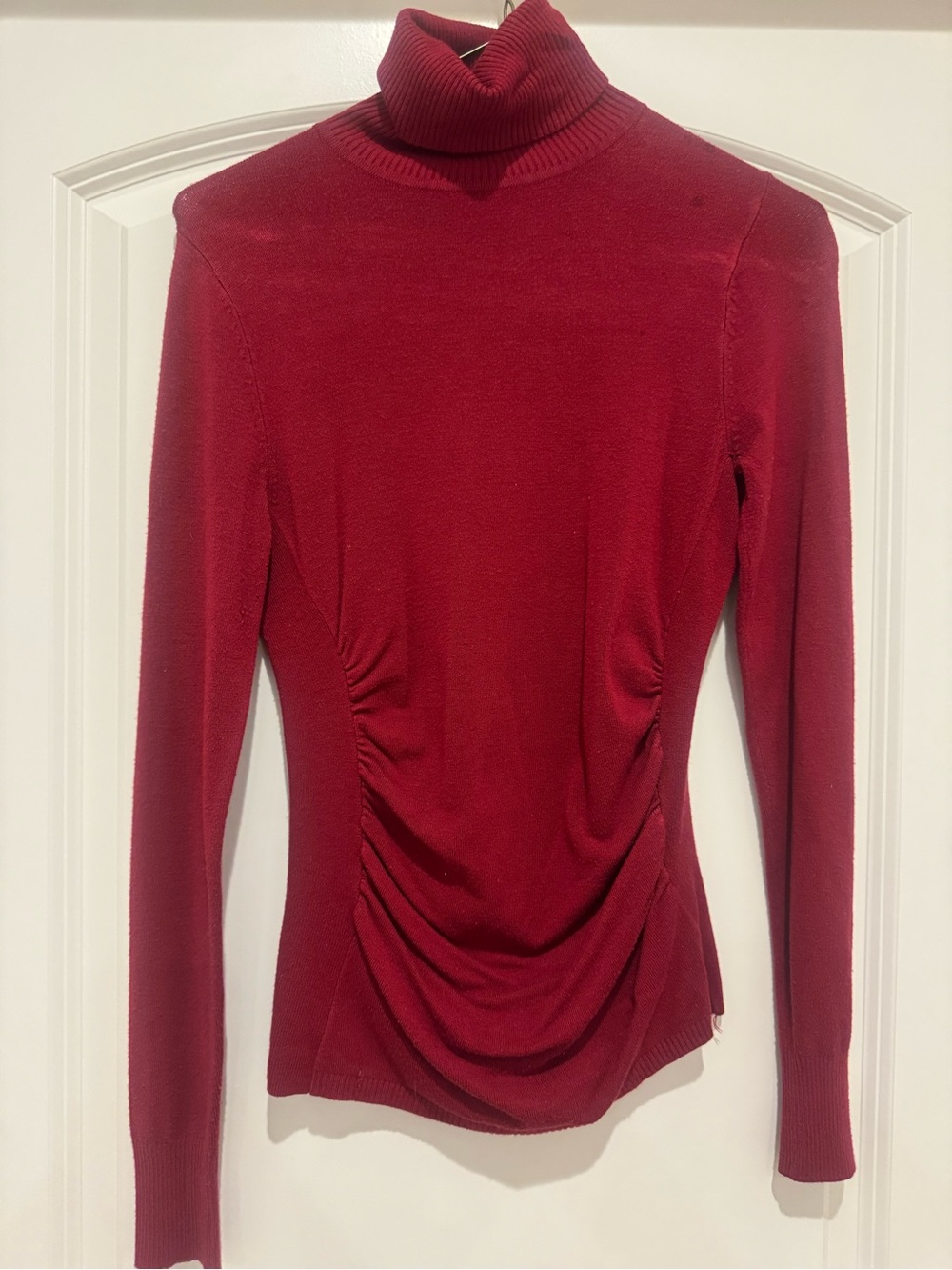 The Limited Burgundy Turtleneck Long Sleeve Top